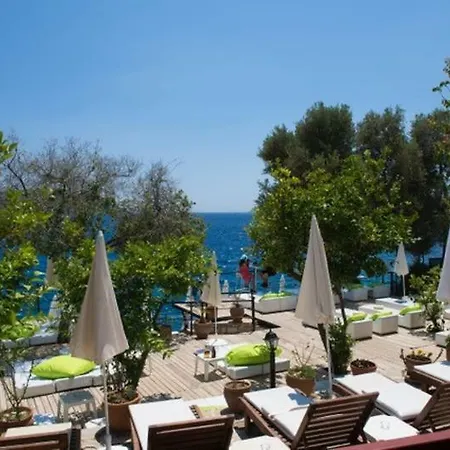 Kale Kaş